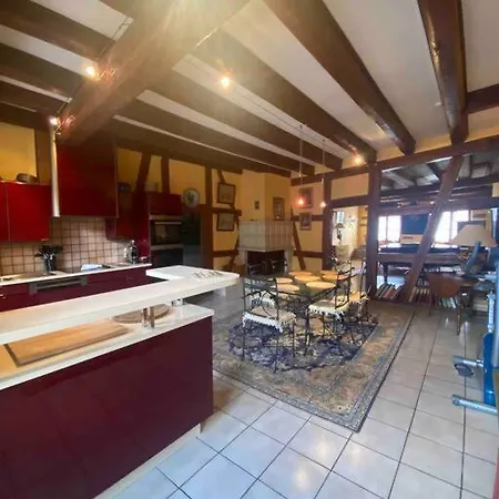 Le Majestueux Dans Le Centre Historique Appartement Riquewihr