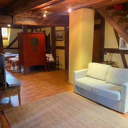 Le Majestueux Dans Le Centre Historique *