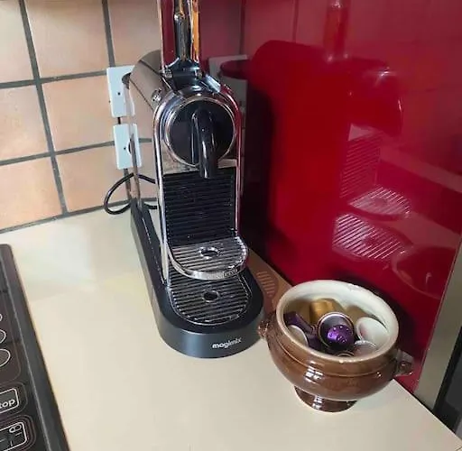 Le Majestueux Dans Le Centre Historique Apartment