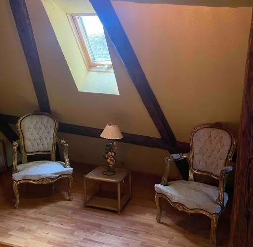 Le Majestueux Dans Le Centre Historique Apartment *